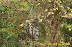 Entergy 102